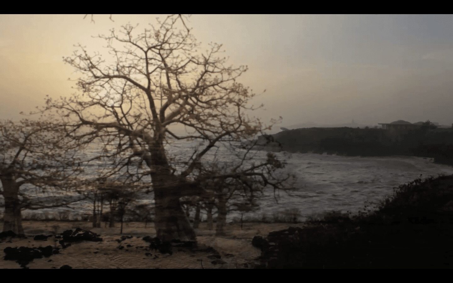 Kitso Lynn Elliott, Untitled, Sankofa 1, 2016. Video. Courtesy of the artist