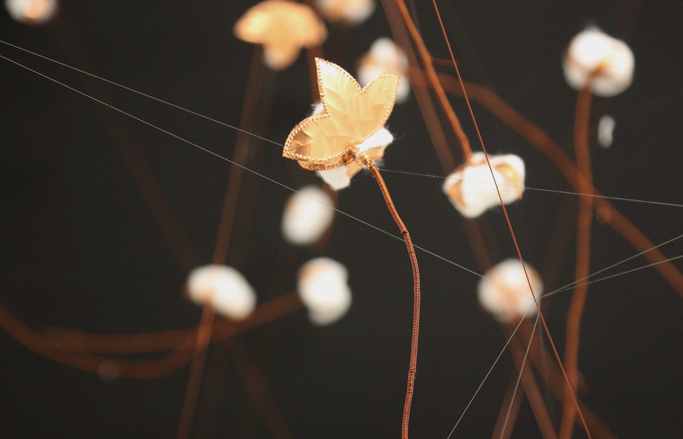 Residency open call for artists based in Central Africa