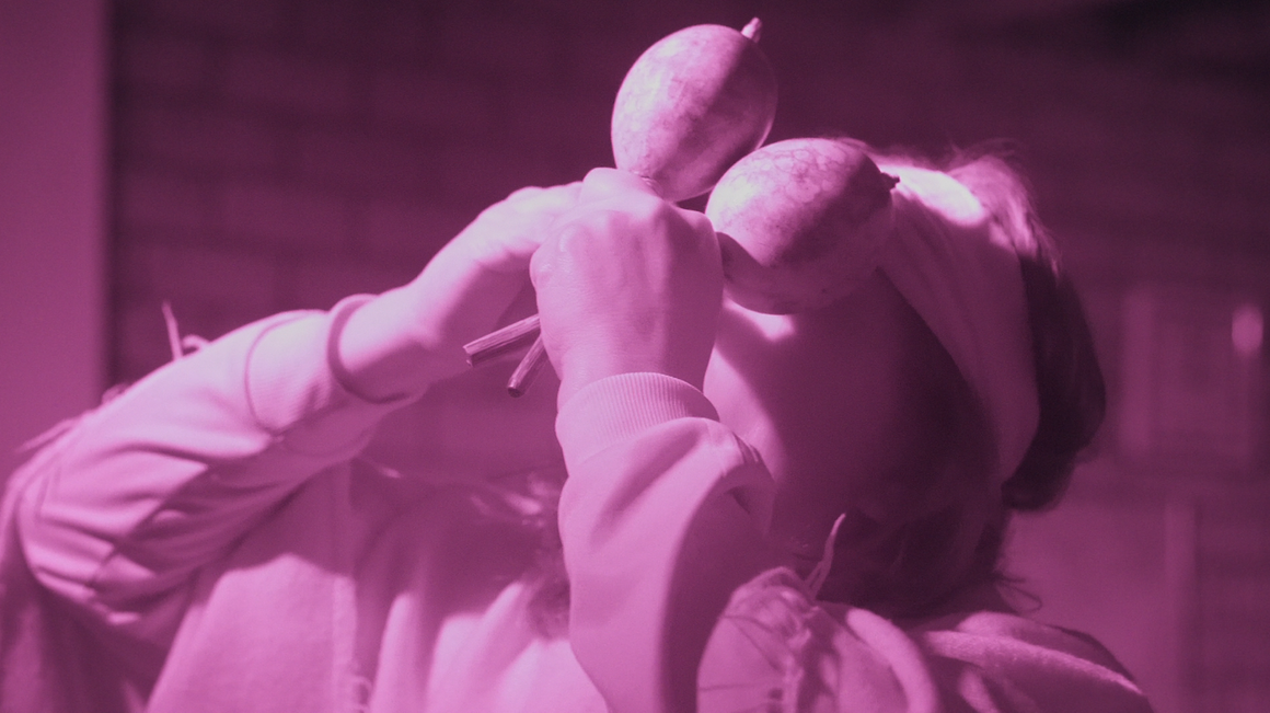 Uma História Natural das Ruínas