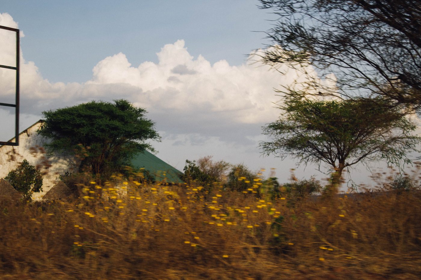 To Spring From Salted Earth - Contemporary And