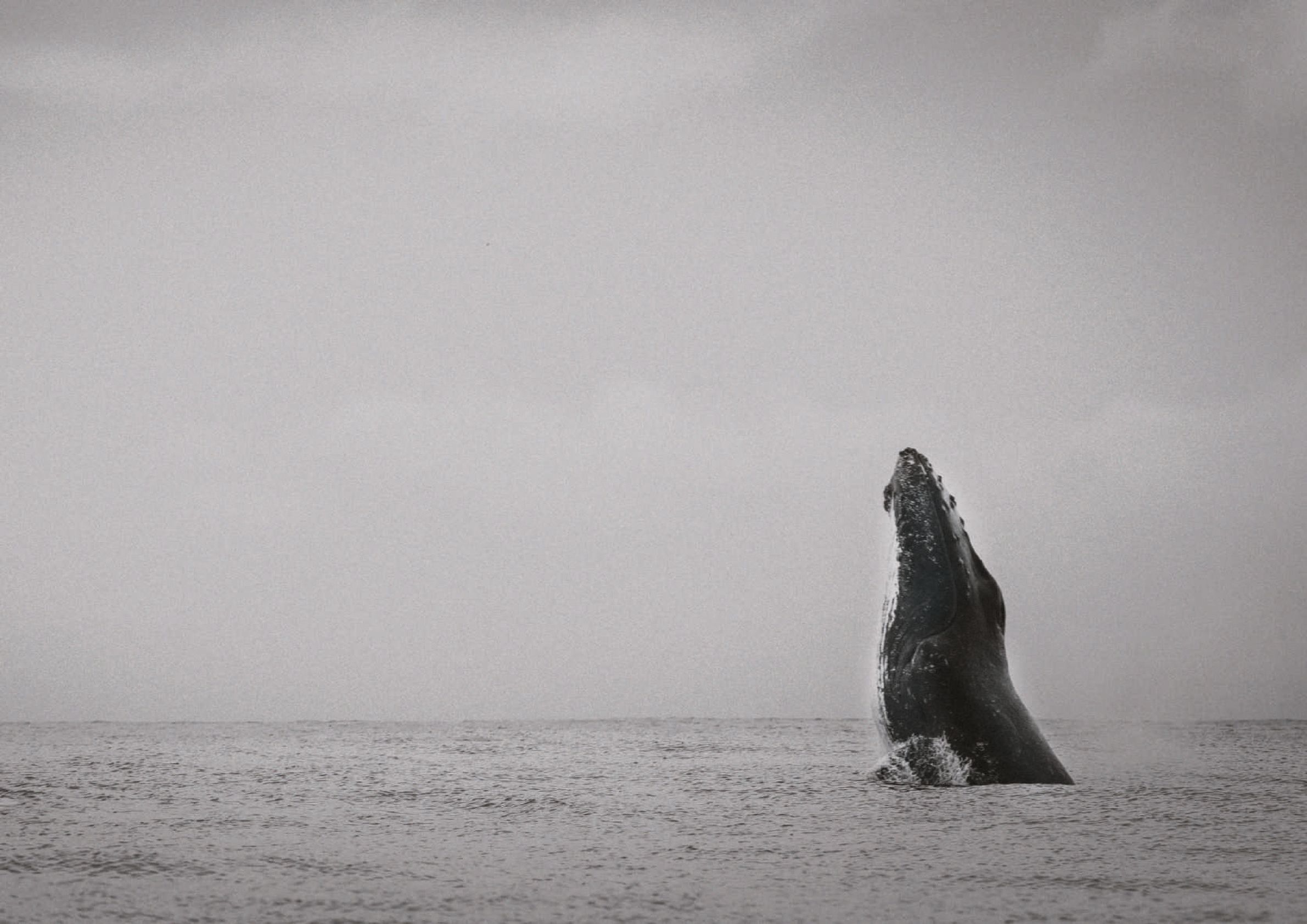 #weavingnetworks with Más Arte Más Accíon