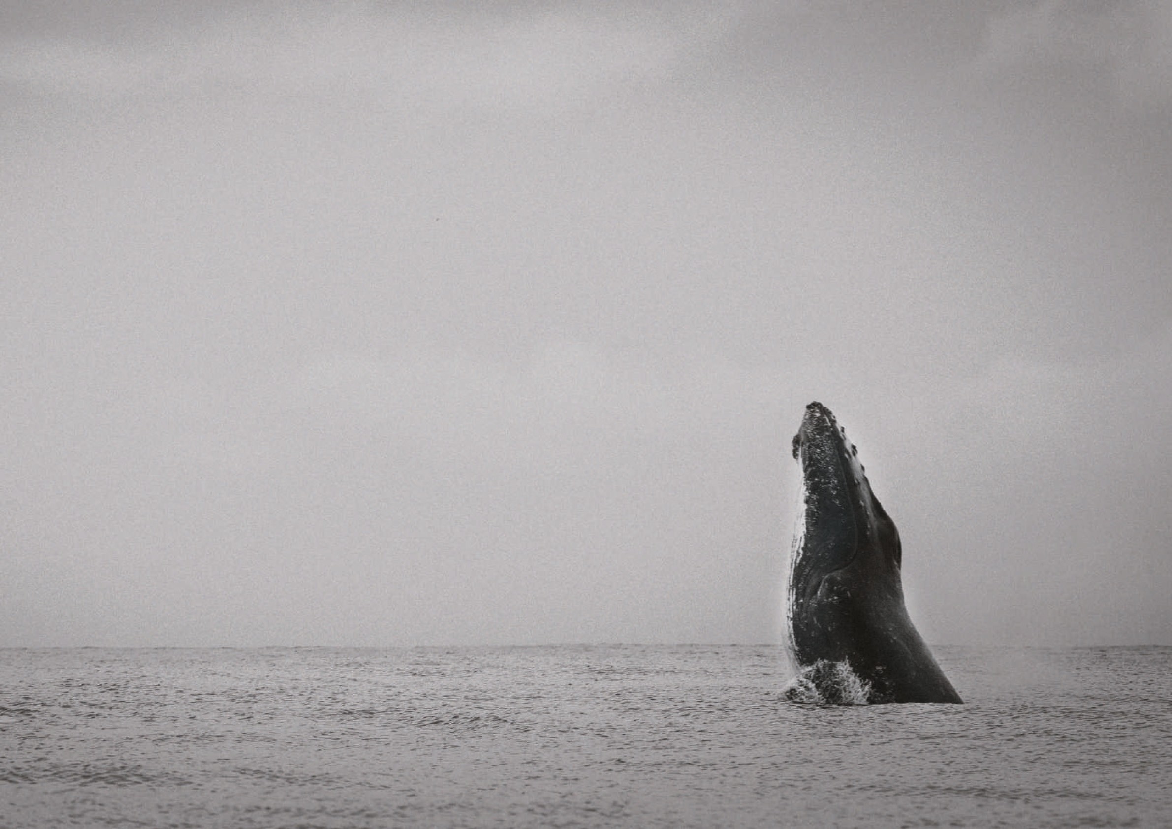 #weavingnetworks with Más Arte Más Accíon