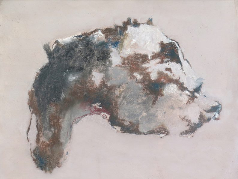 Sadikou Oukpedjo: Anima