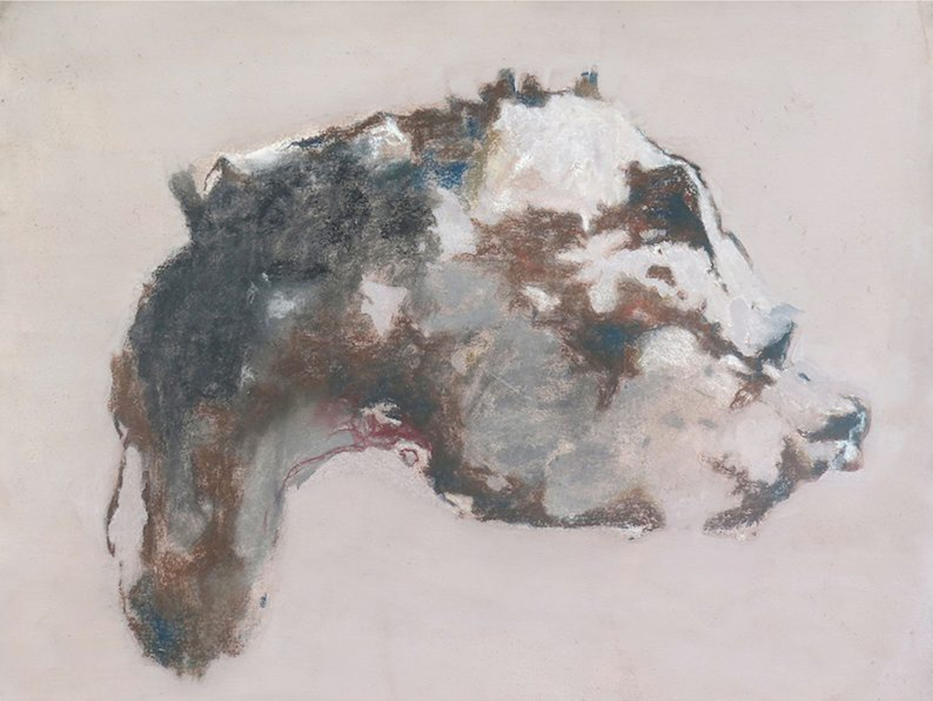Sadikou Oukpedjo: Anima