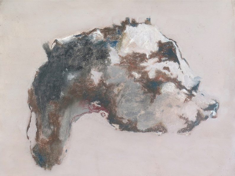 Sadikou Oukpedjo: Anima