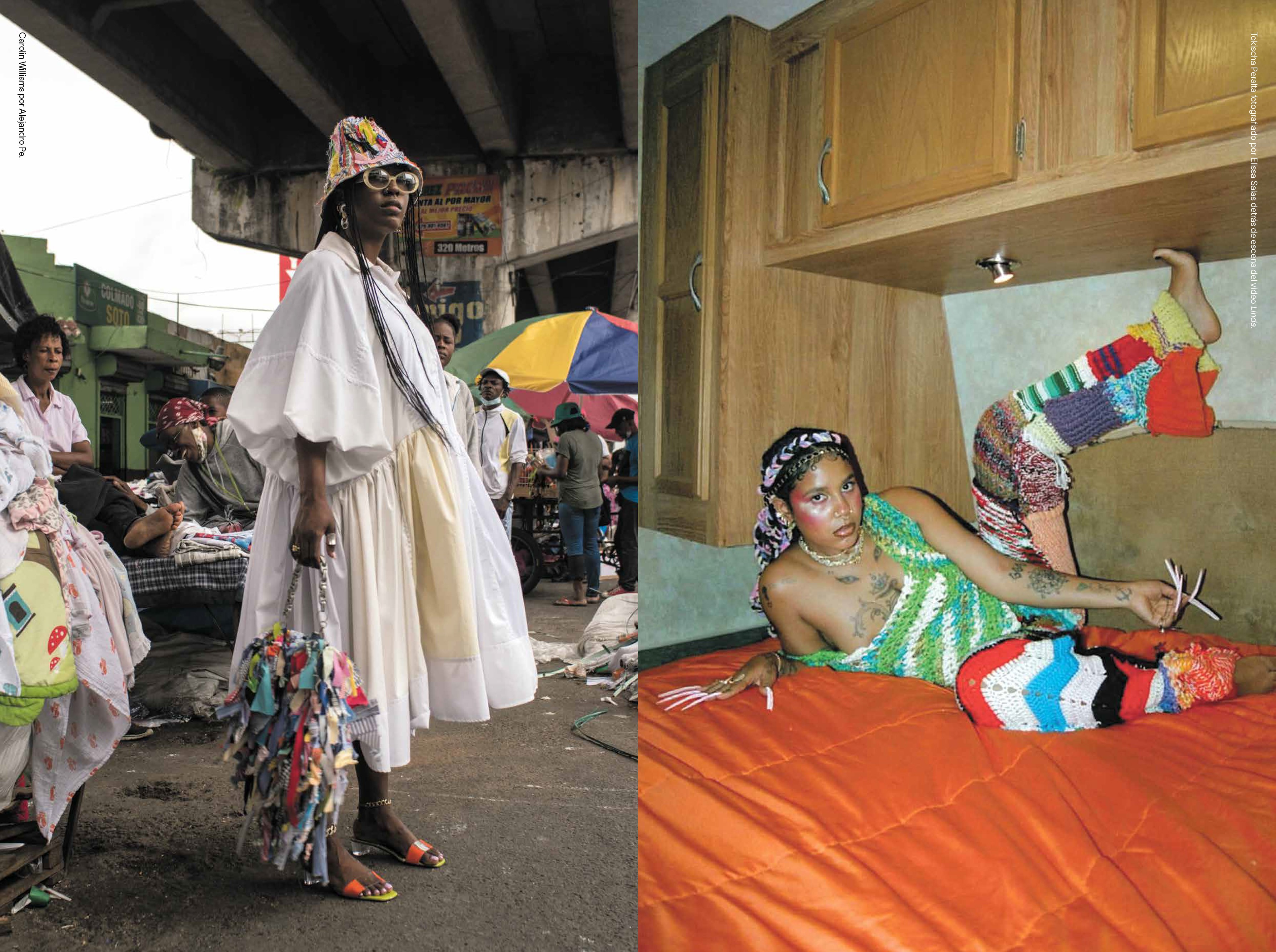 Ecologies: Image Issue