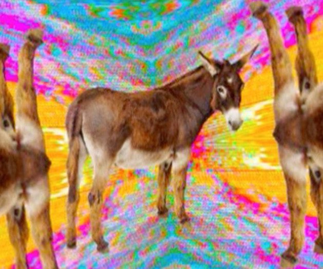 Dineo Seshee Bopape : Slow-Co-Ruption