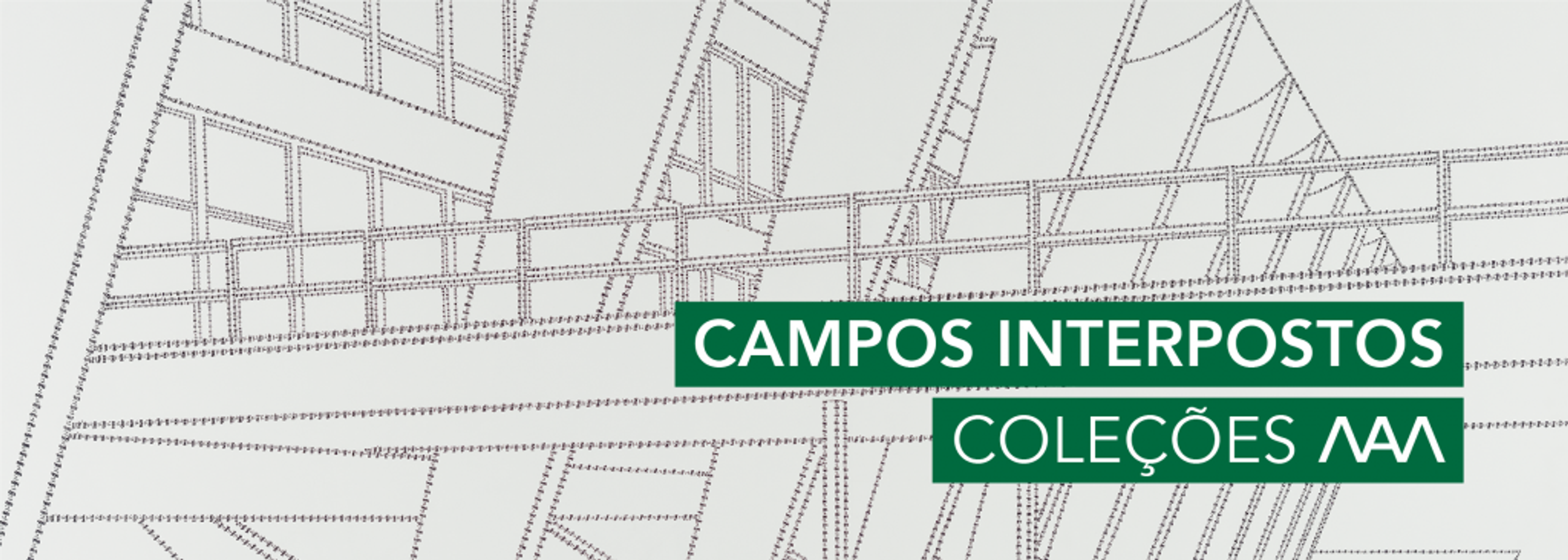 Campos Interpostos