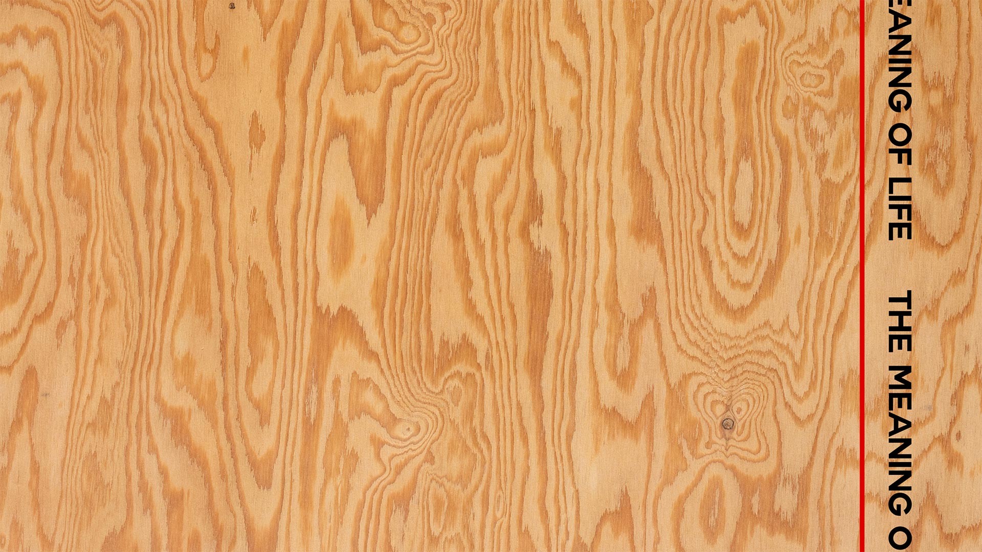 Hannah Black: The Meaning of Life