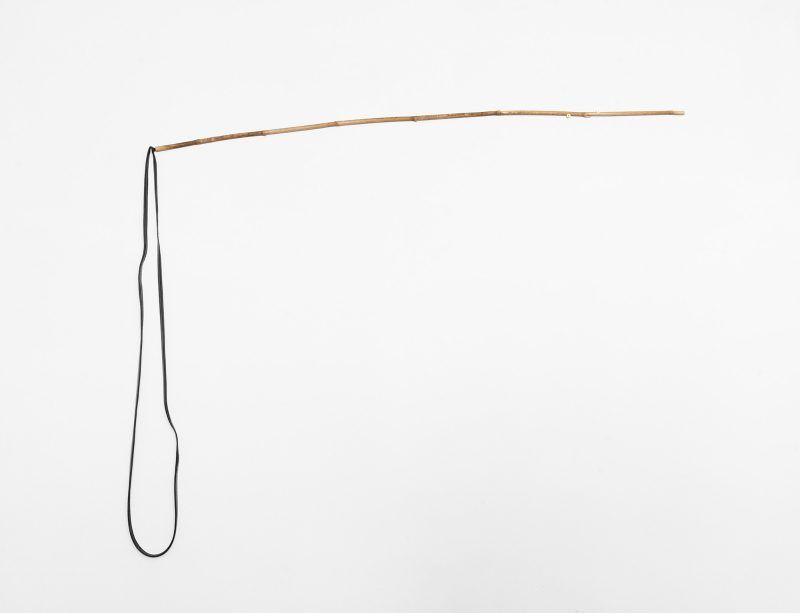 Jared Ginsburg: THE NATURAL WORLD PARTS 2, 3, 4, 5 AND 6