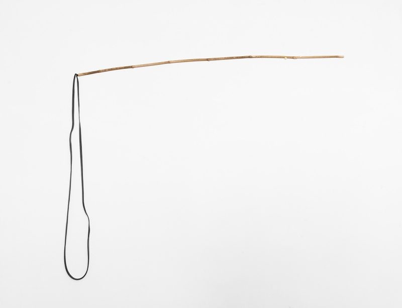 Jared Ginsburg: THE NATURAL WORLD PARTS 2, 3, 4, 5 AND 6