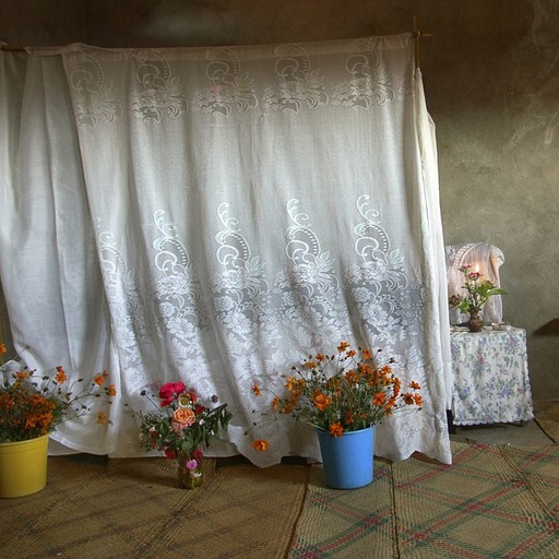 Apoyo a la cocreación