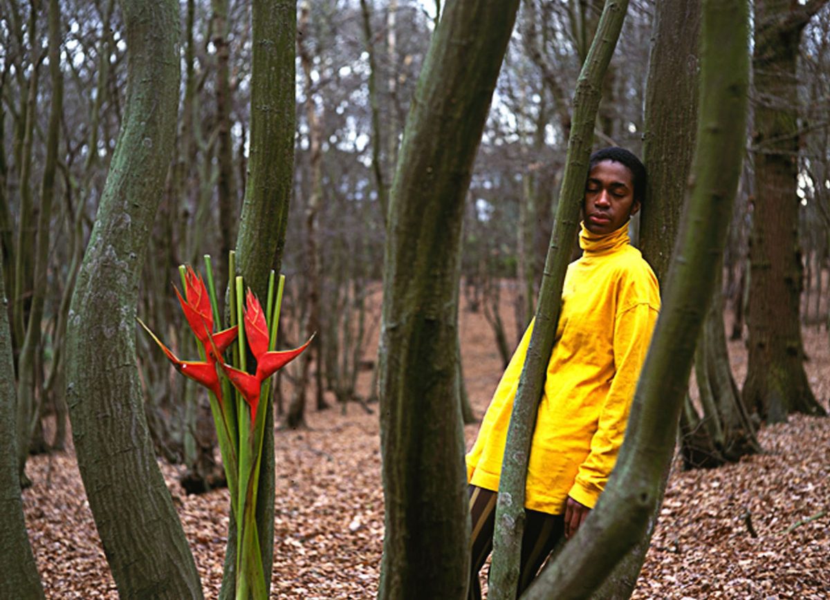 RESIDUAL: TRACES OF THE BLACK BODY