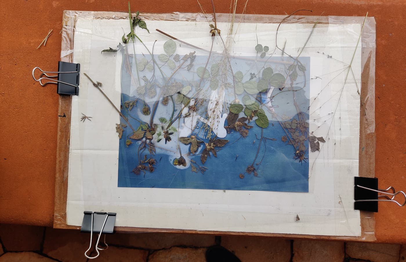 KLA ART 2024: Care Instructions