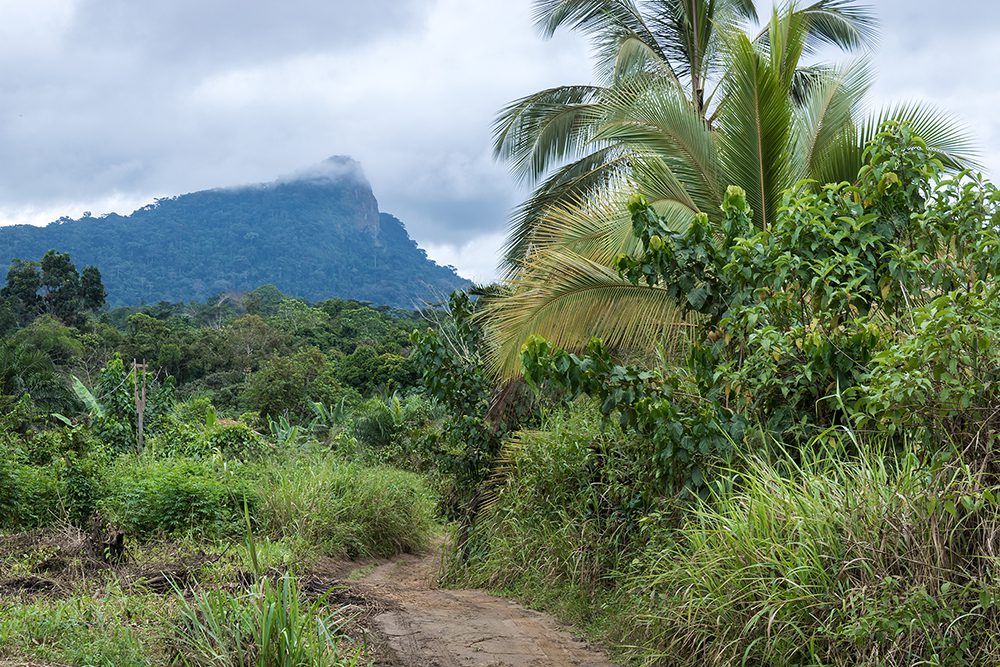 Seeds and Souls – Group Show