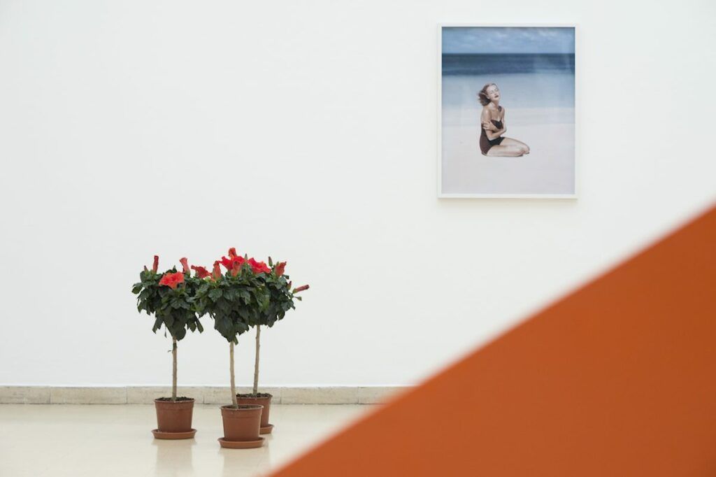 Raja'a Khalid, Liz Pringle with Flowers, 2015 (QUER). Inkjet-Print, archival, Hibiskuspflanzen