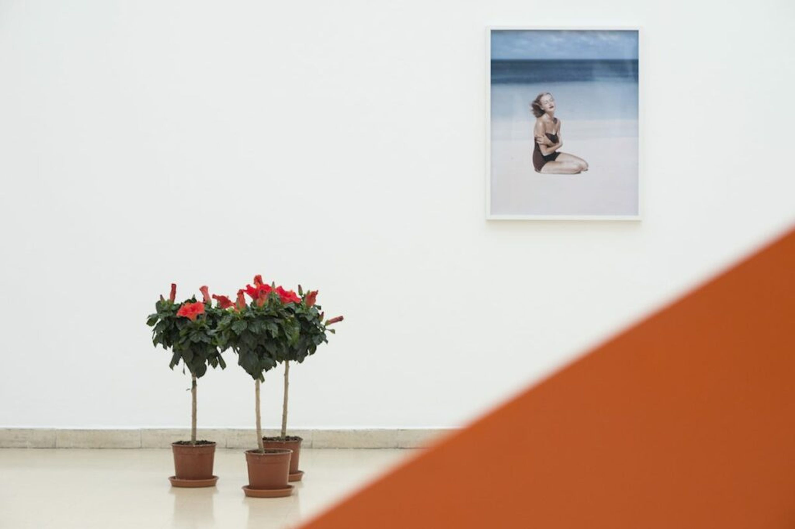 Raja'a Khalid, Liz Pringle with Flowers, 2015 (QUER). Inkjet-Print, archival, Hibiskuspflanzen