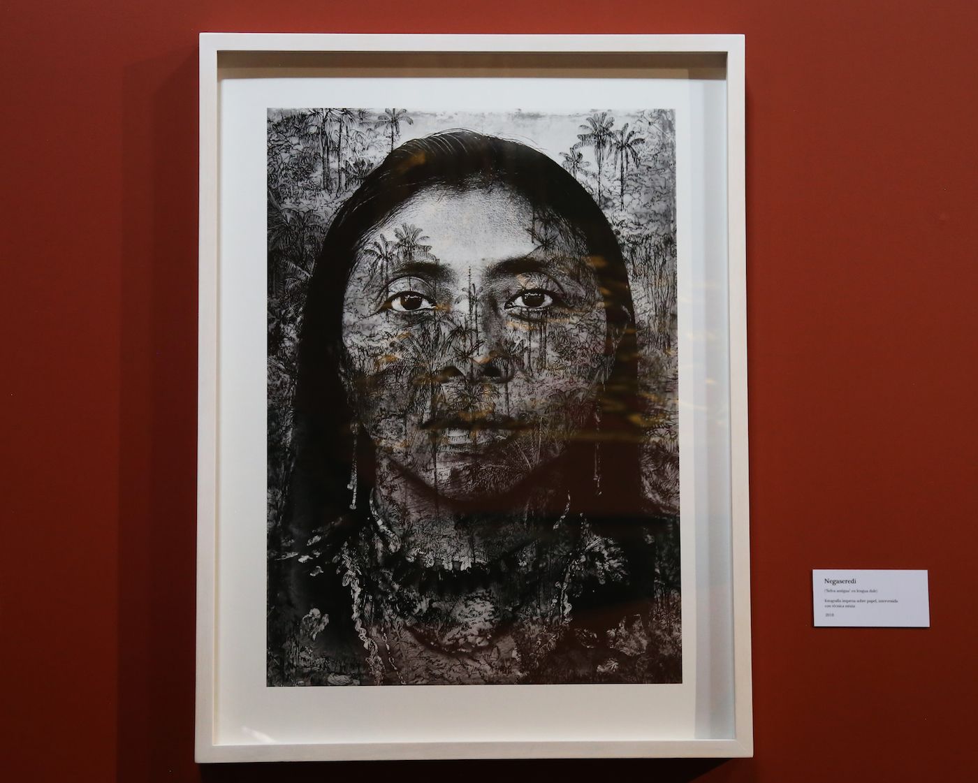 Negaseredi ("Ancient Jungle” en Dule language). Printed photograph on paper, mixed techniques, 2018. Photo: Ana Luisa González.