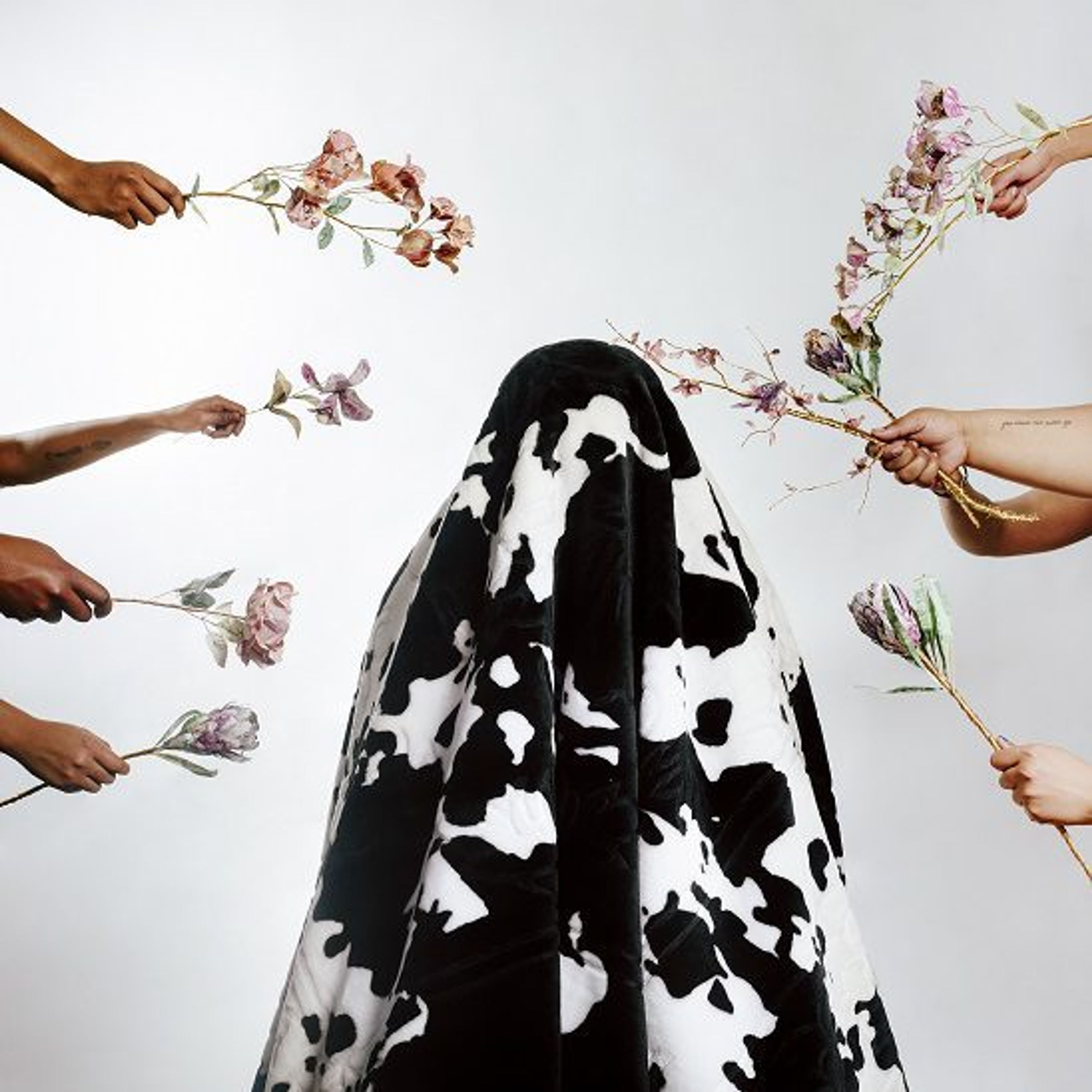 Gerald Machona: Greener Pastures