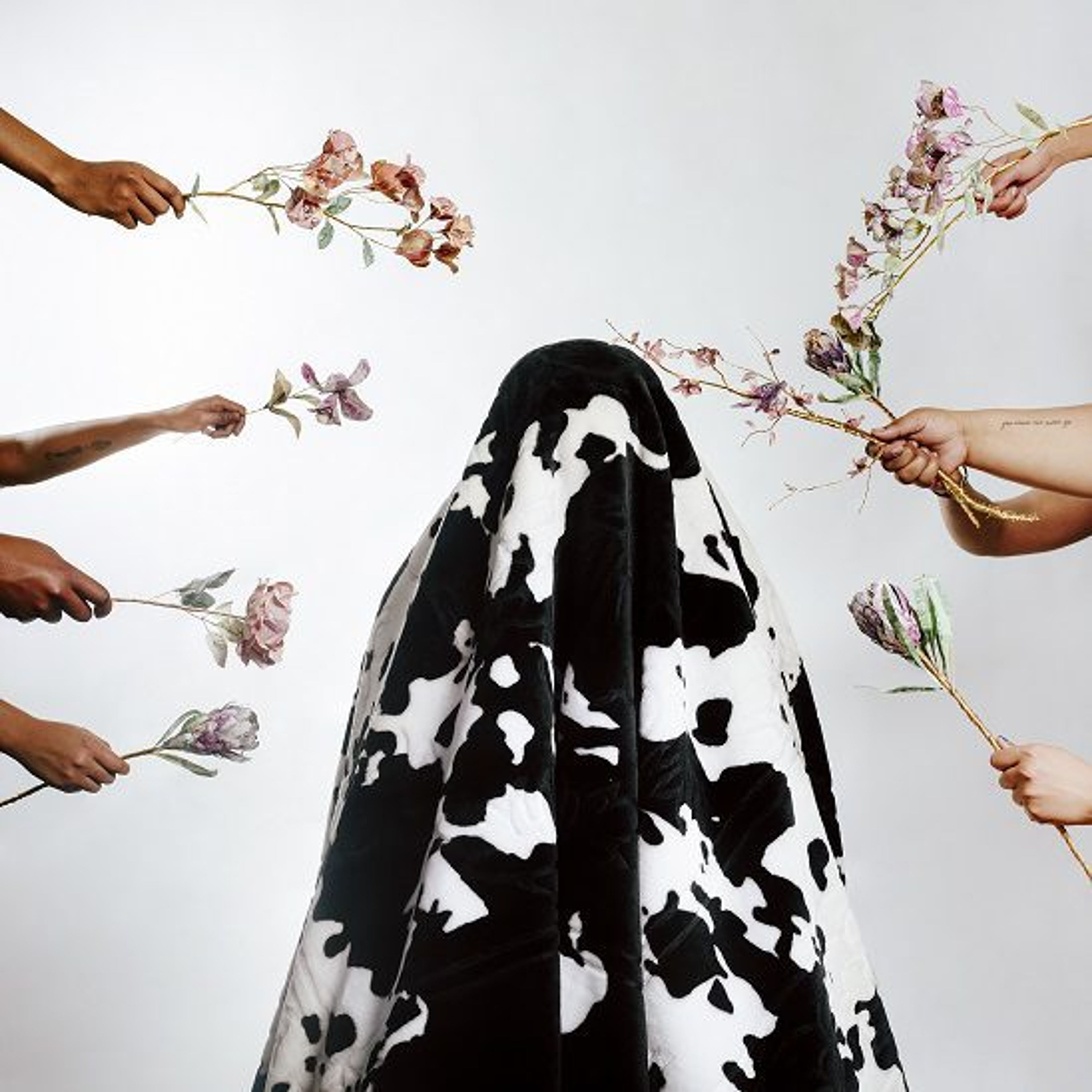 Gerald Machona: Greener Pastures