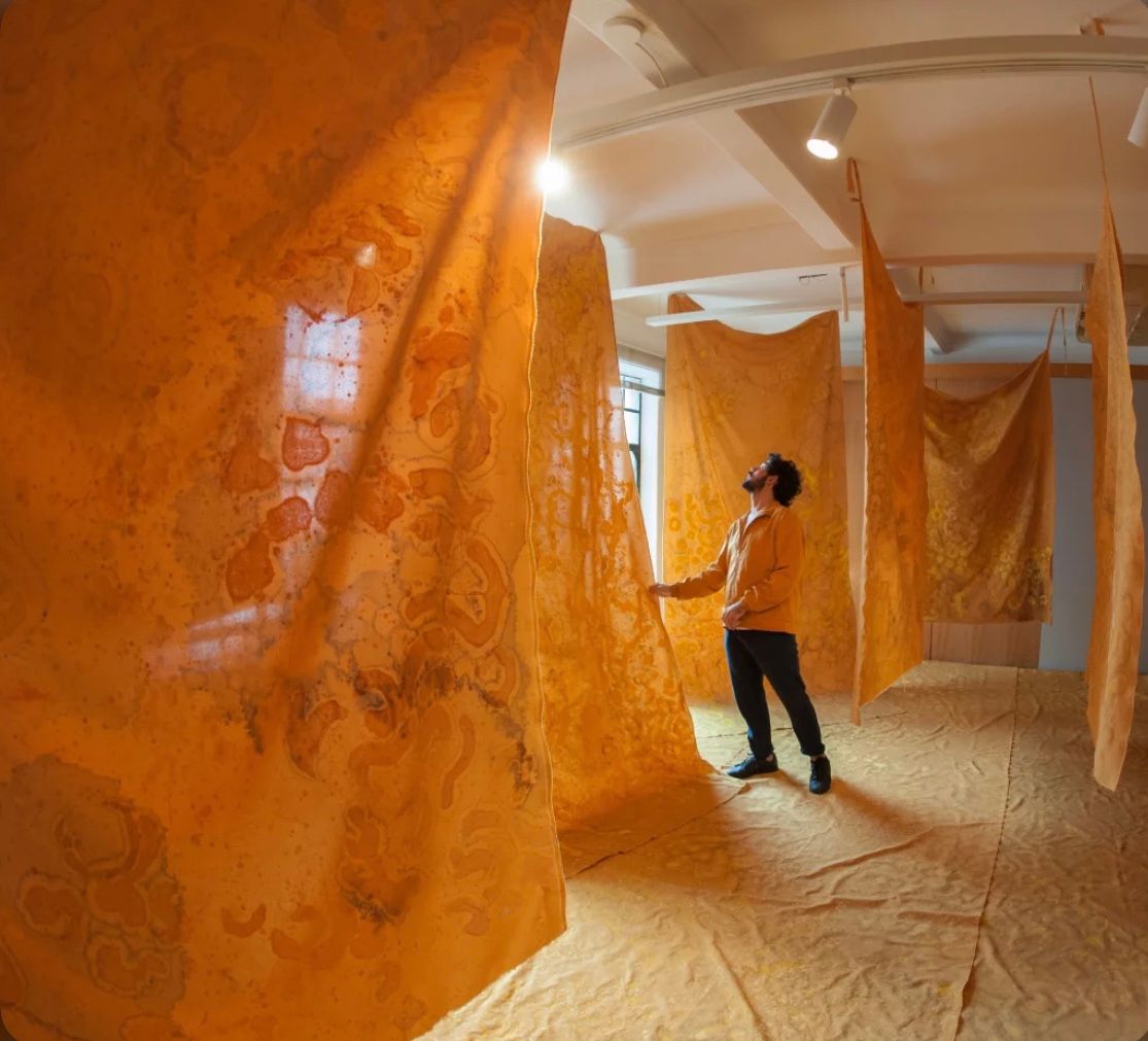 A man stands in an immersive art installation, touching one of many tall, amber fabric panels patterned with organic designs.