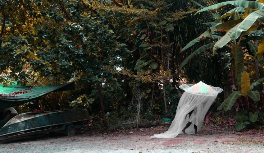 Lisandro Suriel, The Jumbee Parade, 50x86 cm, 2018. Photo: Lisandro Suriel.