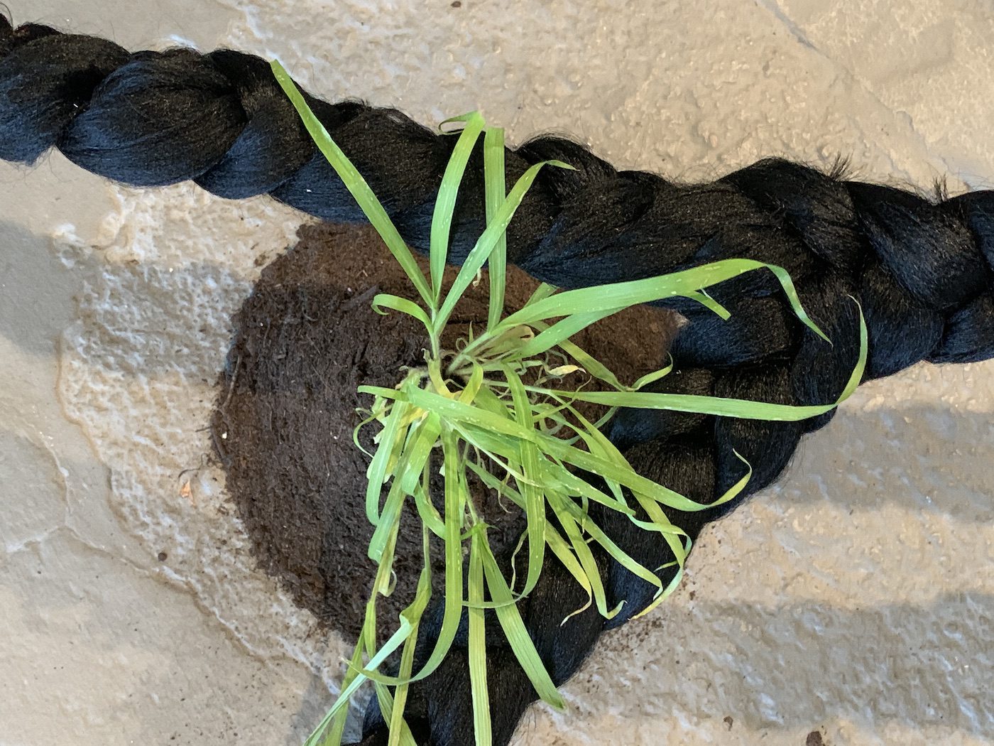 Binta Diaw, Dïàspora, 2022. Installation View at 12th Berlin Biennale, KW Institute for Contemporary Art. Photo: C&amp;