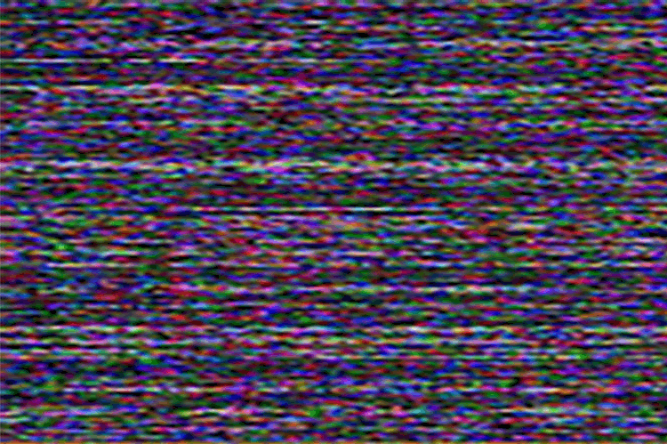 International Summit on Curatorial Activism and the Politics of Shock