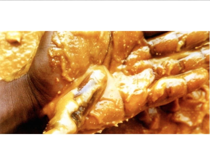 "Renegade Histories: Memories of Indigenous and African Descent"