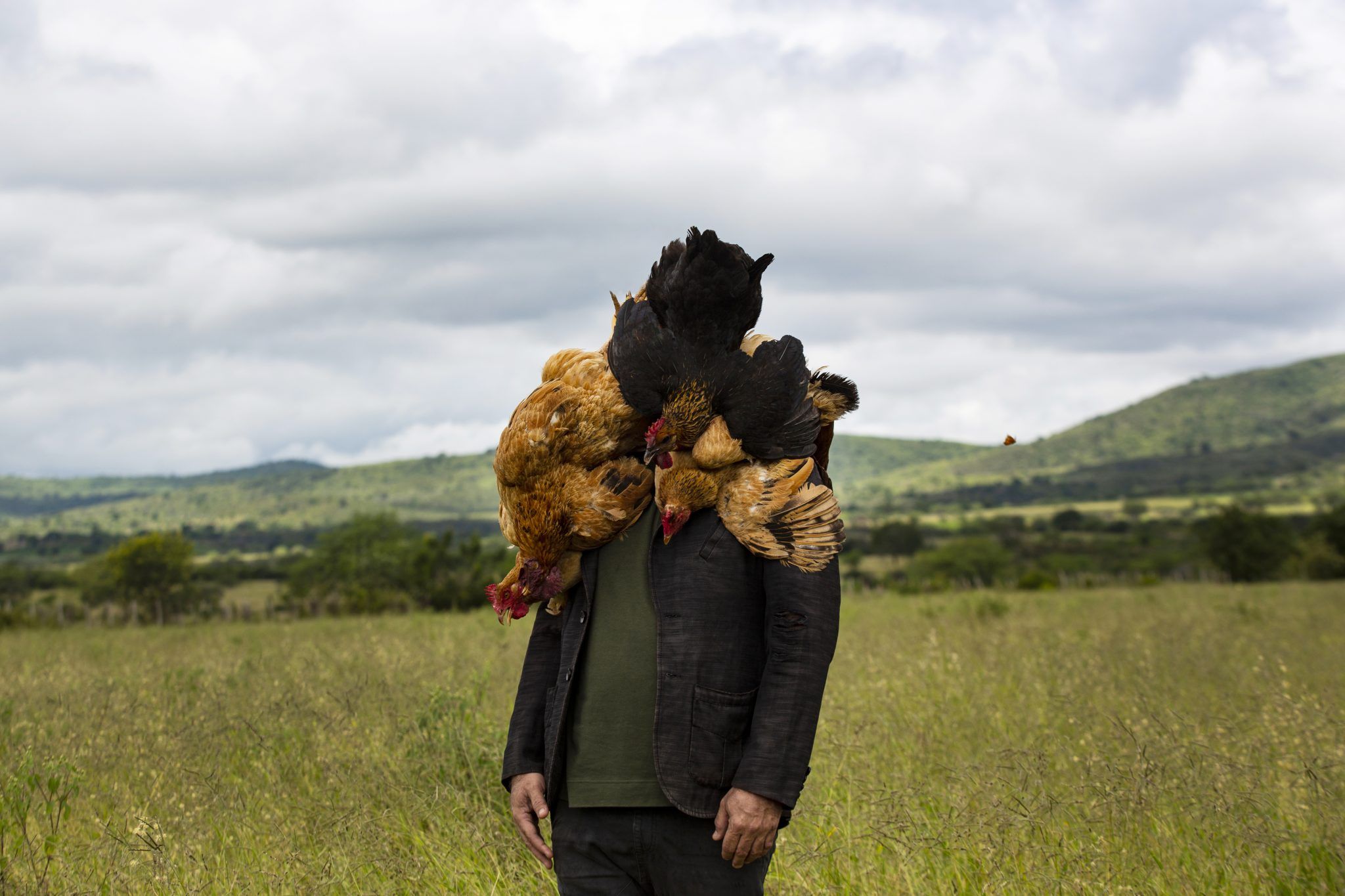 Transes, rituais e substâncias