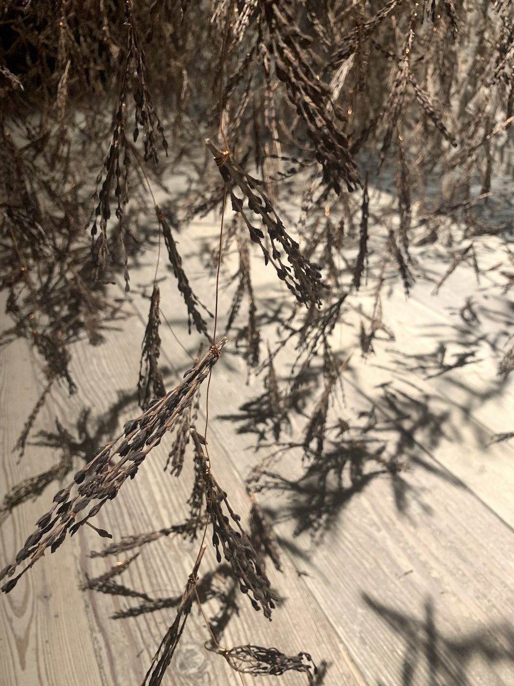 MADEYOULOOK (Molemo Moiloa and Nare Mokgotho) at National Pavilion of South Africa. Installation View at 60th Venice Biennale. Photo: C&amp;