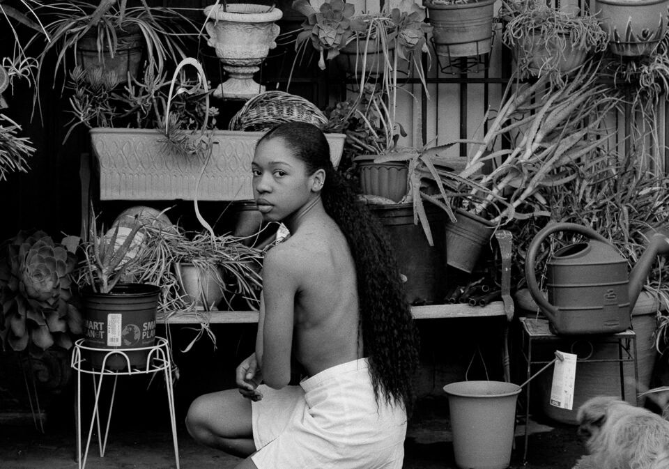 Natura Negra Black Nature