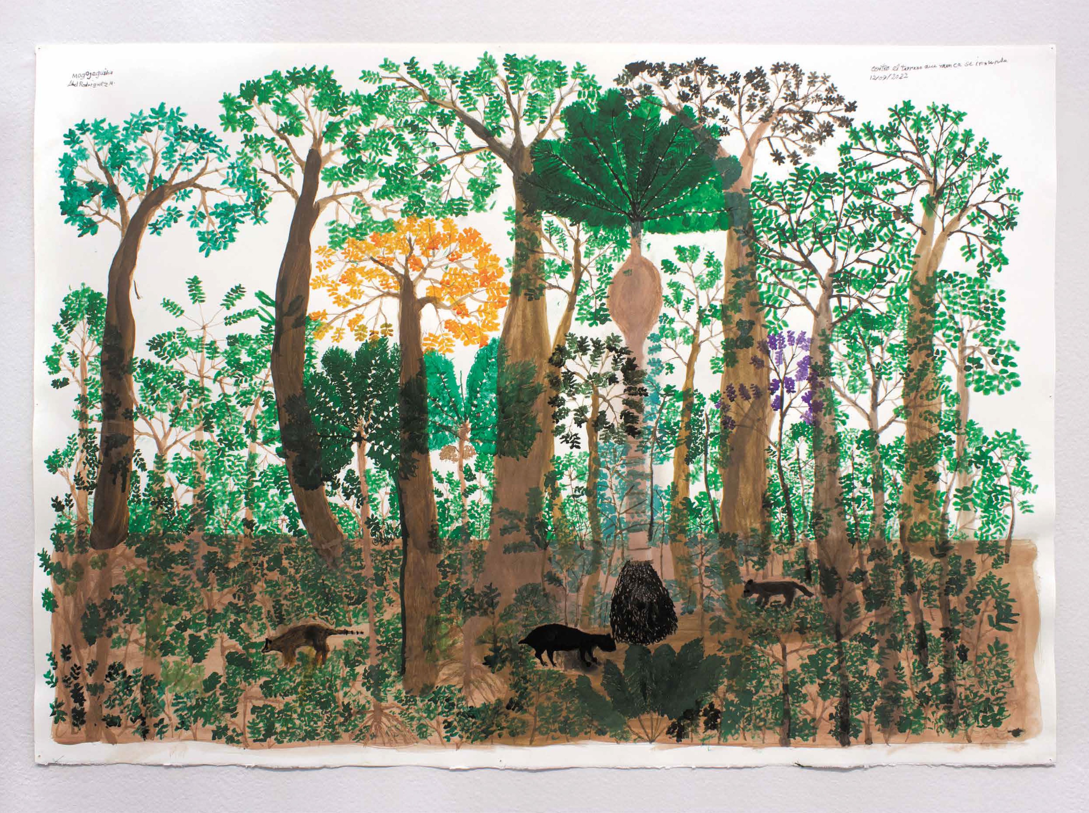 Ecologies: Image Issue