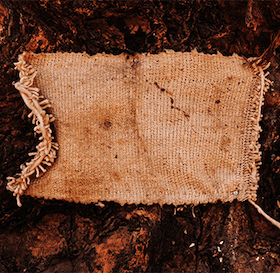 Resisting Expectations of Silence