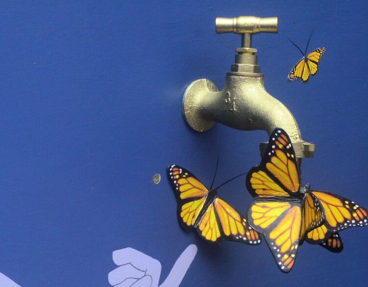 Transformation: Objects and Images in Relation