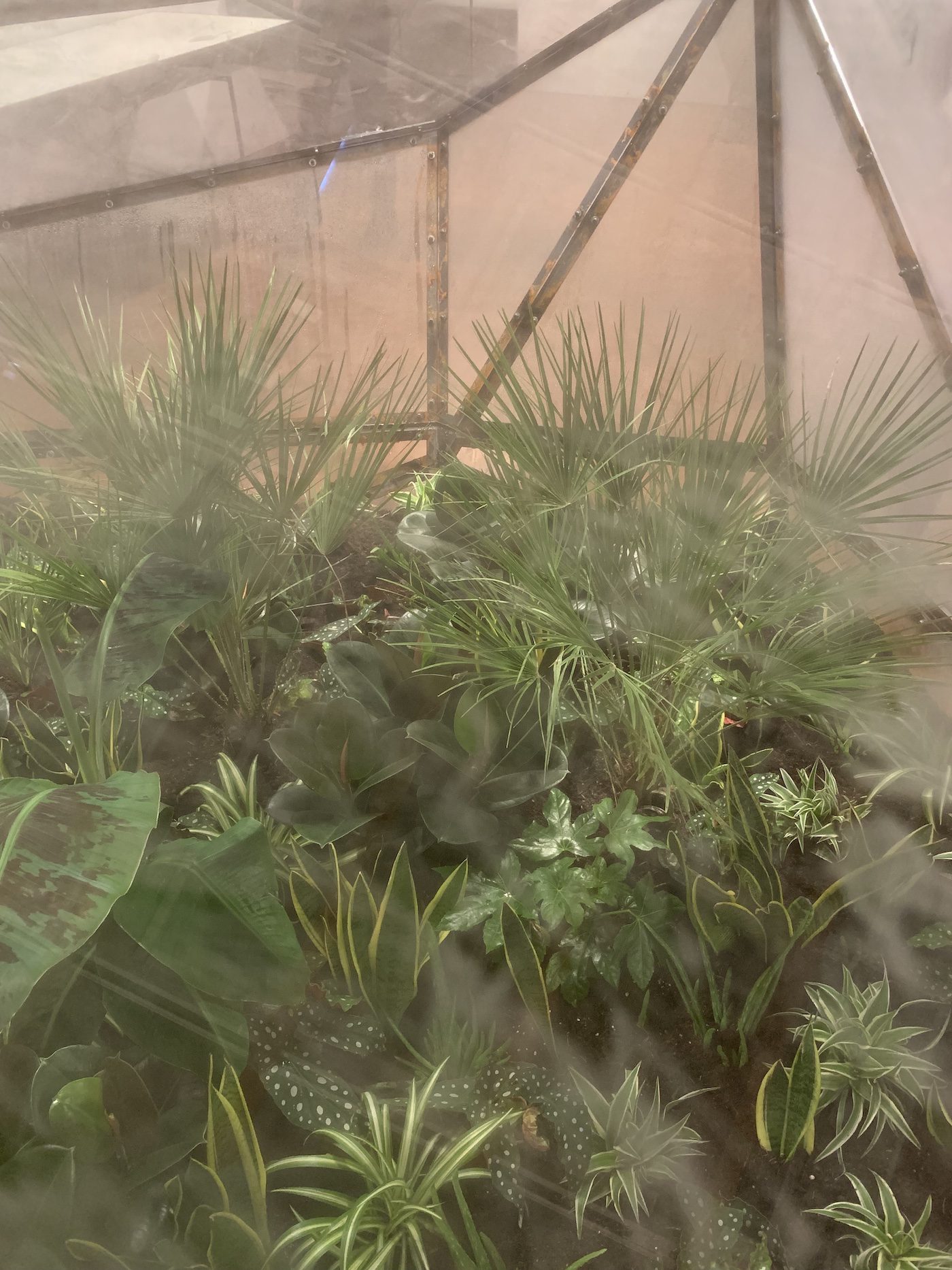 Sammy Baloji,…and to those North Sea waves whispering sunken stories (II), 2021. Installation View at 12th Berlin Biennale, Akademie der Künste, Hanseatenweg. Photo: C&amp;