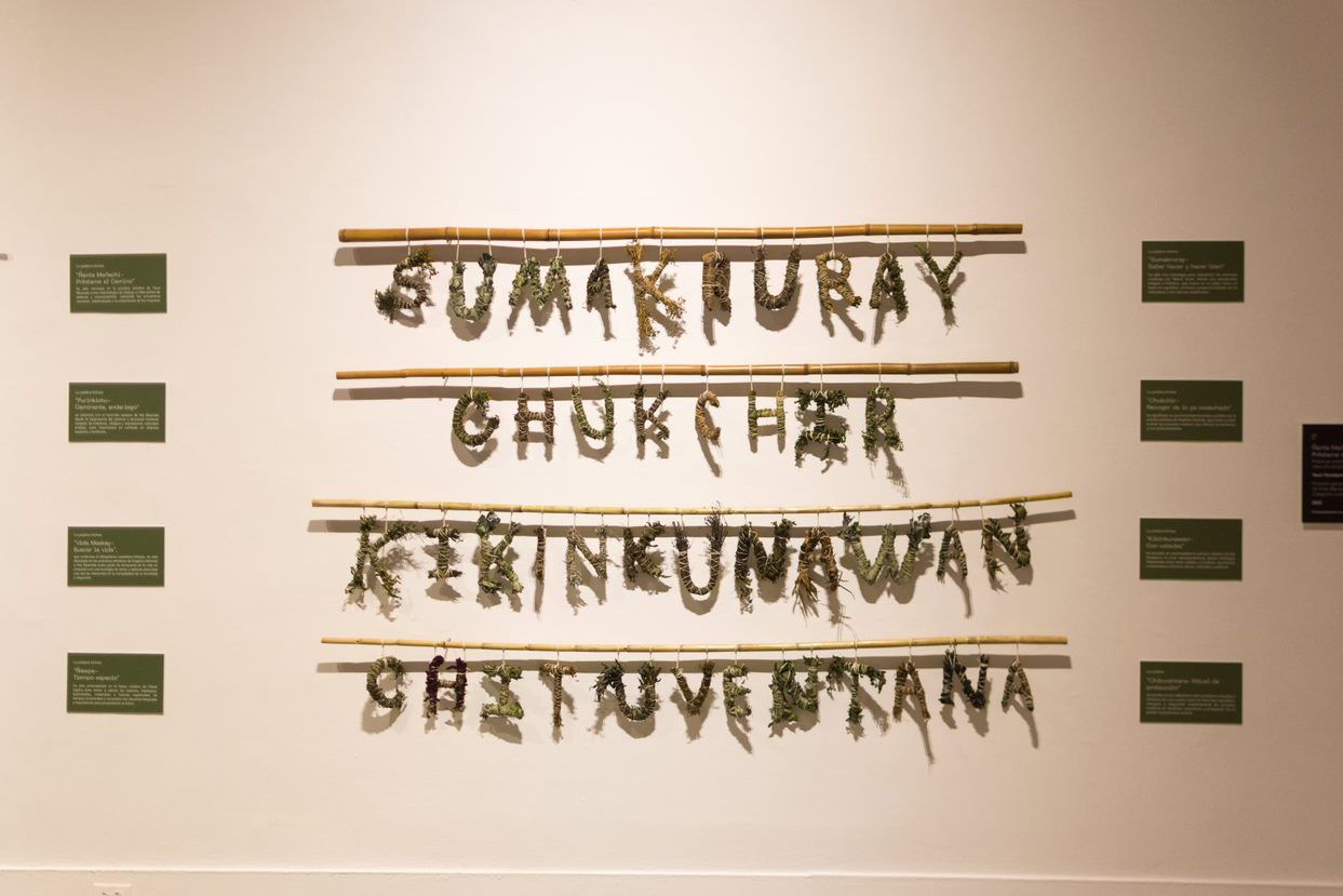 Rimaykuna-hiwakuna Words-Plants: exhibition proposal of the arts research project Ñanta Mañachi-Préstame, the path, 2023. Photo credits: Ricardo Guanín