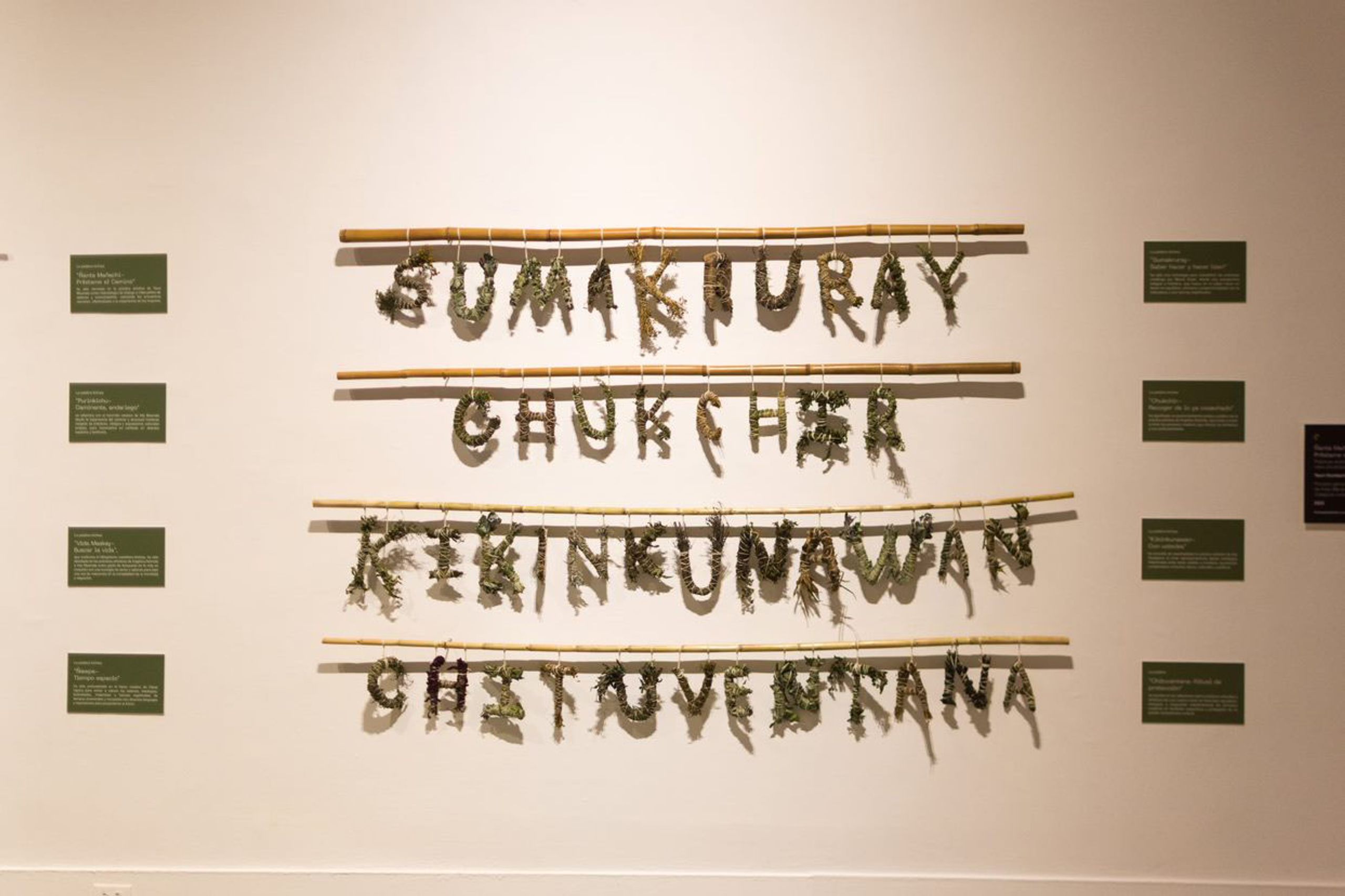 Rimaykuna-hiwakuna Words-Plants: exhibition proposal of the arts research project Ñanta Mañachi-Préstame, the path, 2023. Photo credits: Ricardo Guanín