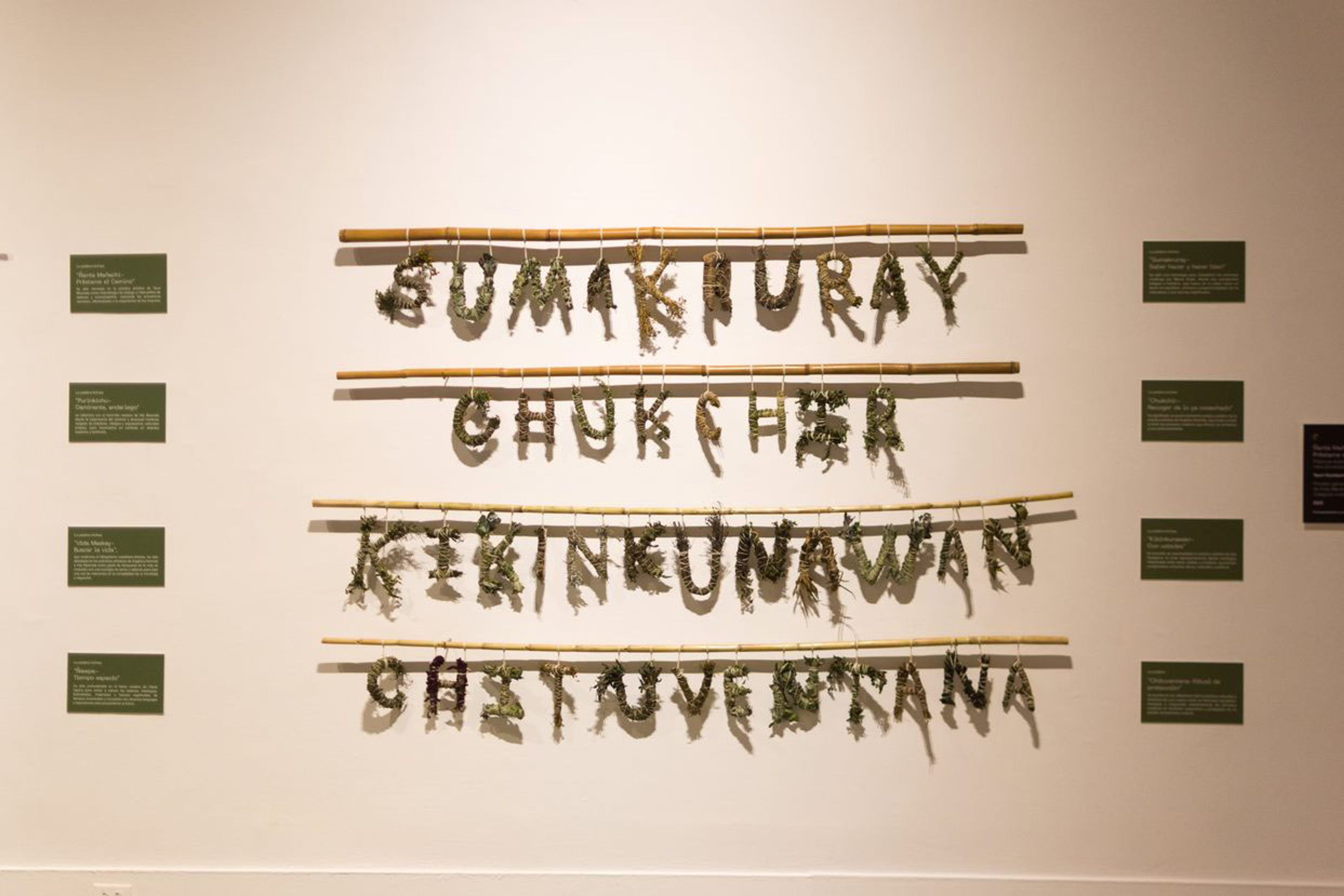 Rimaykuna-hiwakuna Words-Plants: exhibition proposal of the arts research project Ñanta Mañachi-Préstame, the path, 2023. Photo credits: Ricardo Guanín