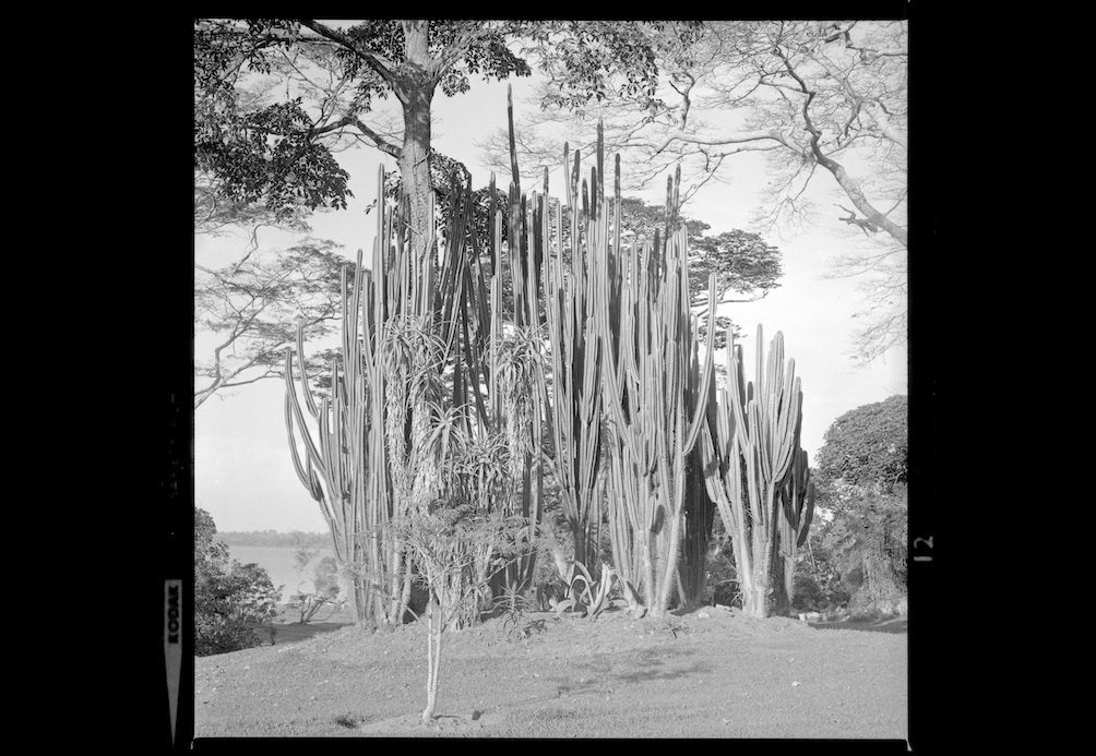 Book launch “Ebifananyi” and exhibition “The Photographer; Deo Kyakulagira”