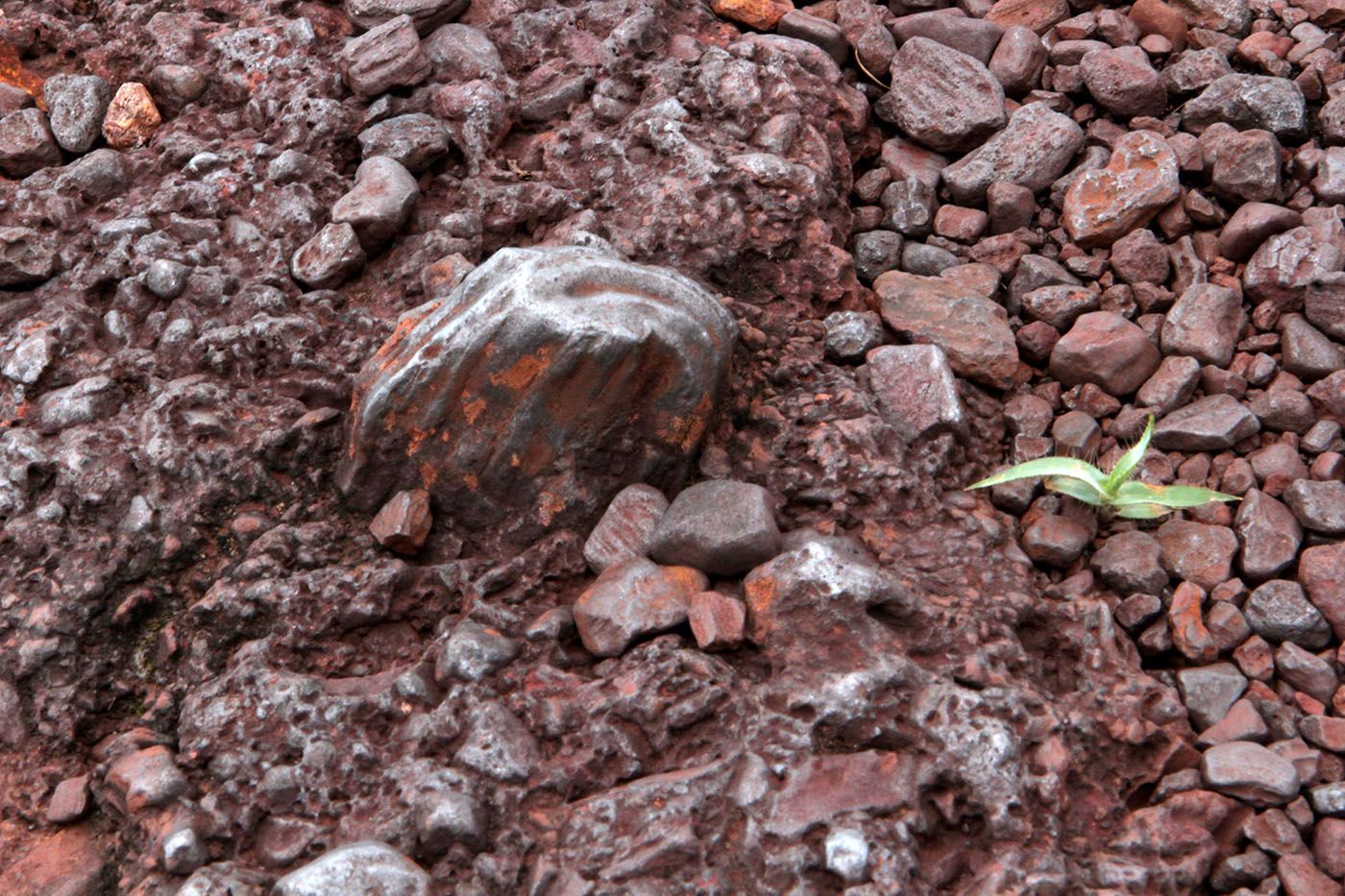 Aline Baiana, Ground at Serra do Rola-Moça, Minas Gerais – Brazil, January 2020. Research image. Courtesy Aline Baiana​