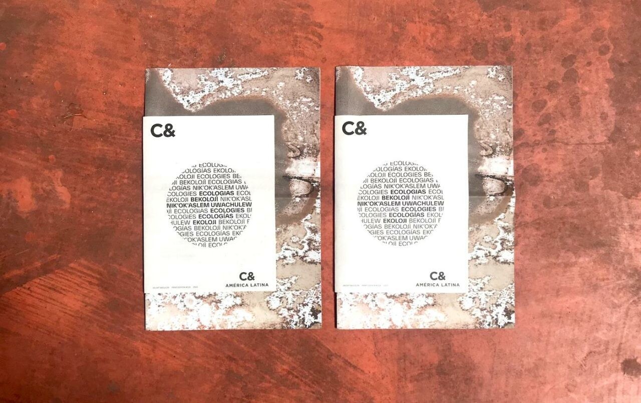 C& and C&AL Joint Print Issue: Ecologies