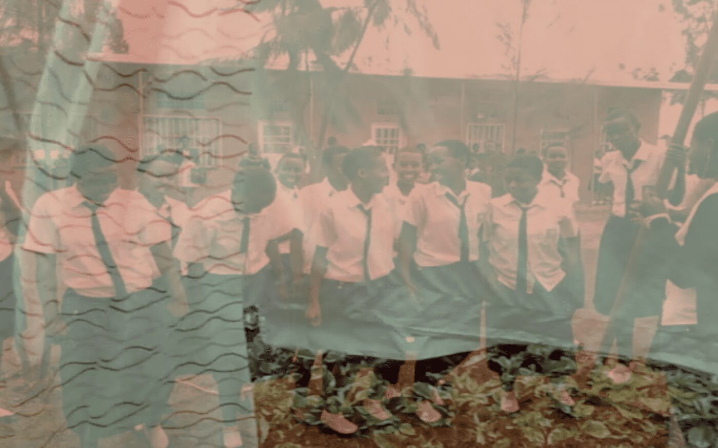 In Rwanda and Europe, Images of Creativity and Survival - Contemporary And