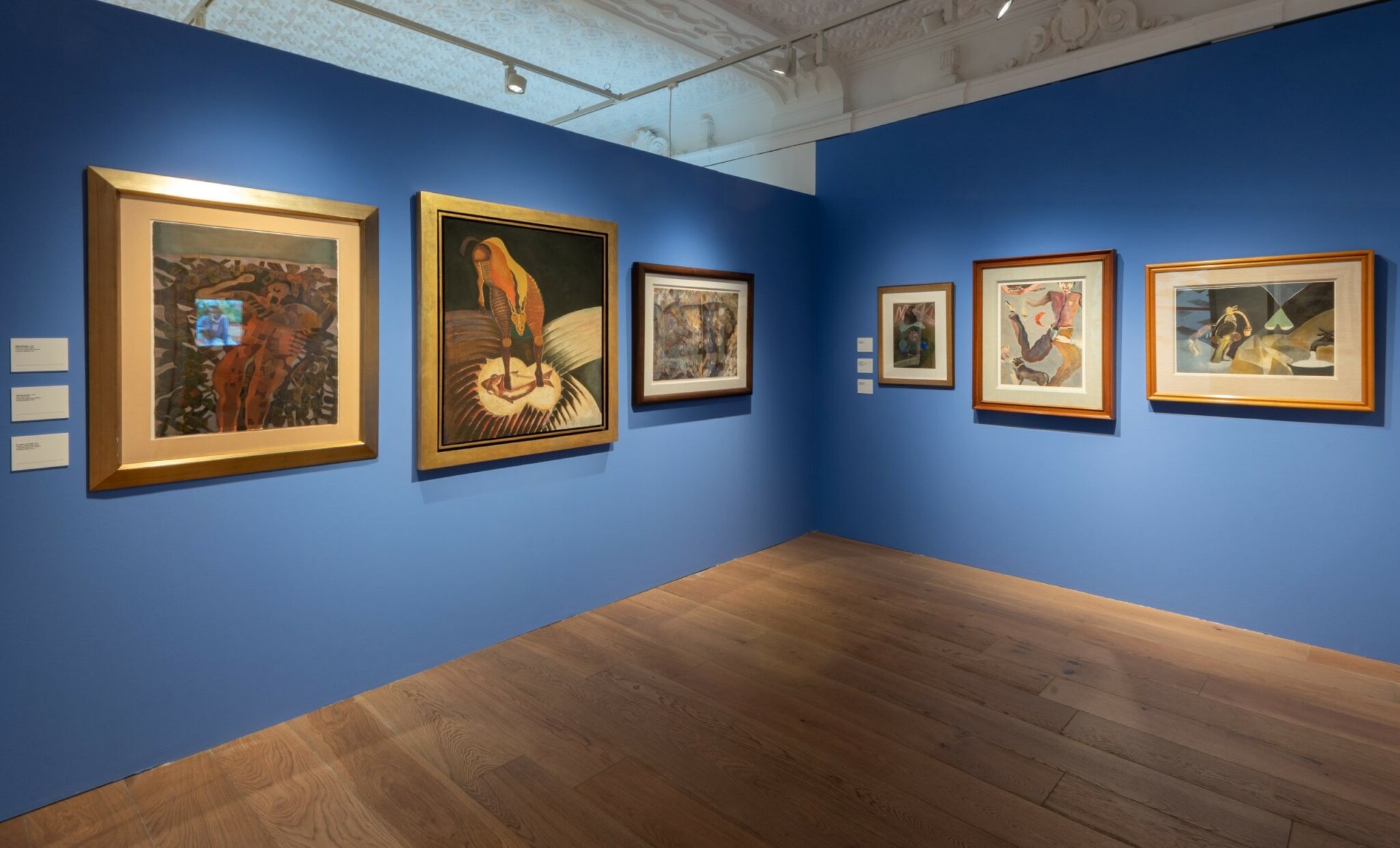 Francisco Toledo. El color como forma