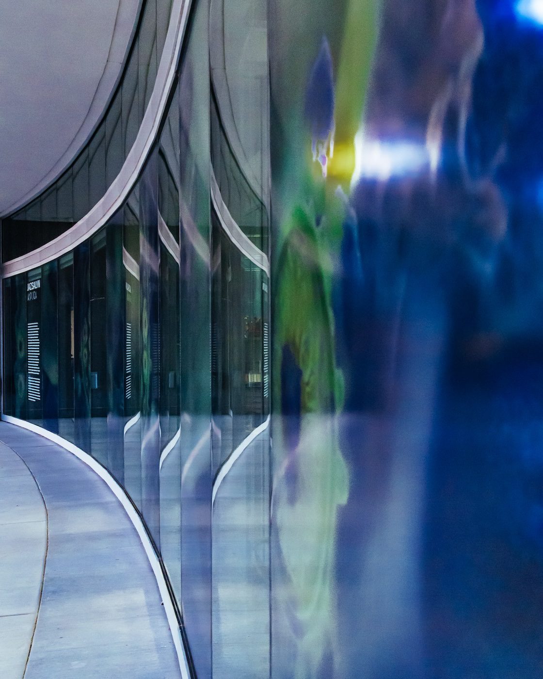 Jazsalyn, A(spora), 2025. Installation view at John Chavis Memorial Park, Raleigh, NC, US. Courtesy the artist and Raleigh Arts. Photographer: Jude McDonald.