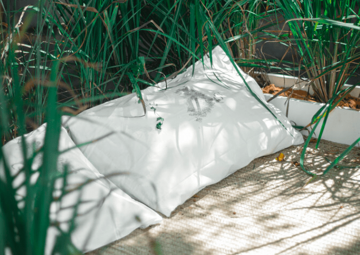 Aliou Diack: The bed of life