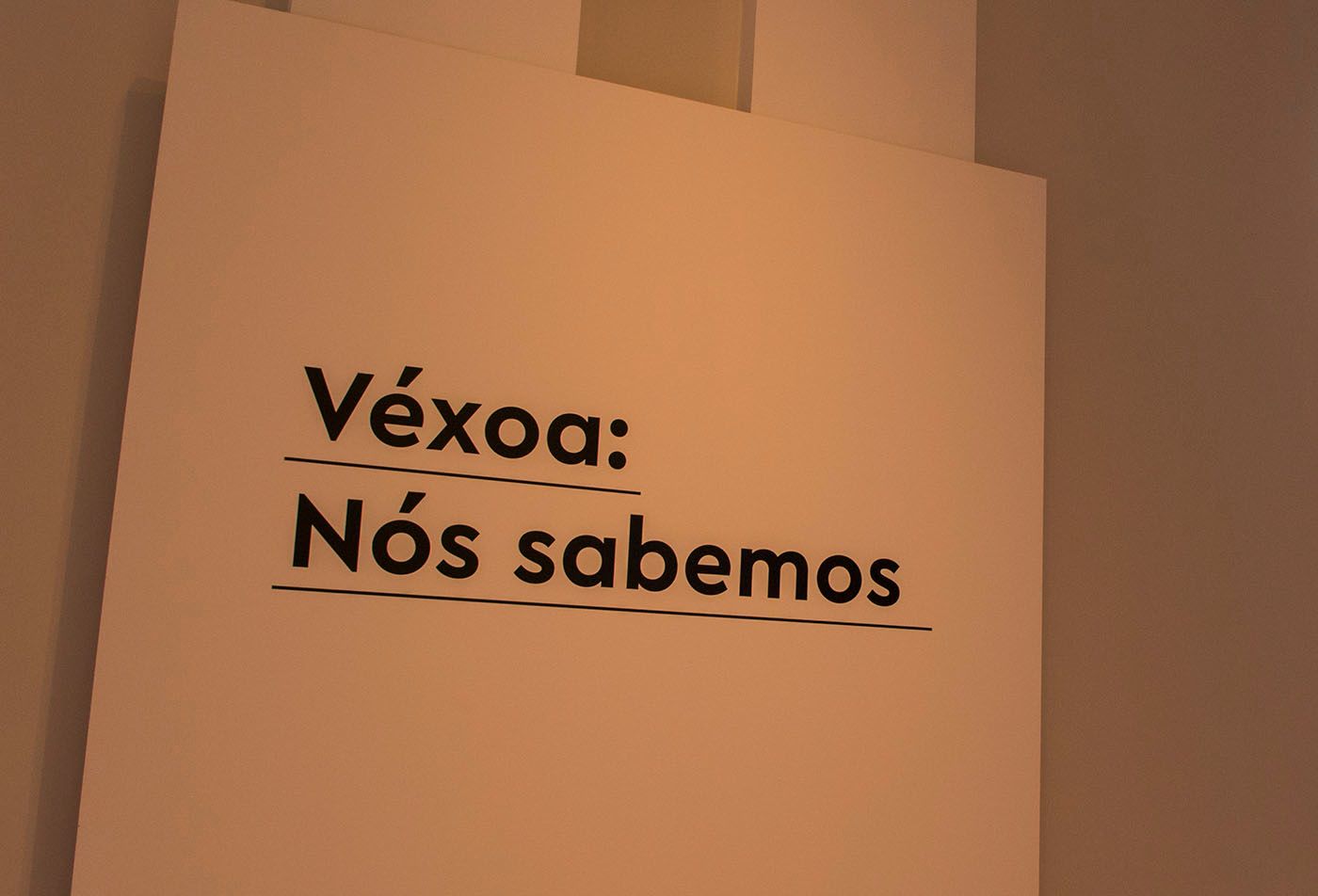 “Véxoa: We Know"  Exhibition, at the Pinacoteca in São Paulo, curated by Naine Terena.