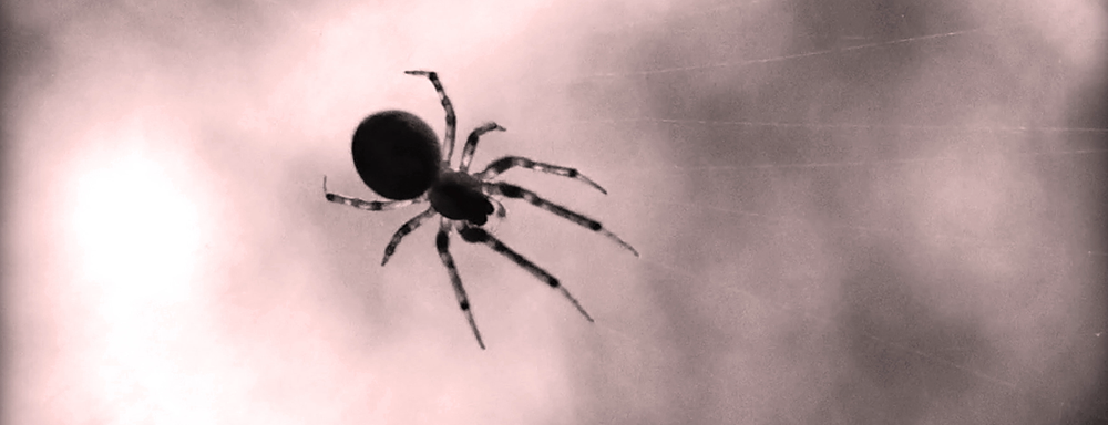 Extrañando al fantasma