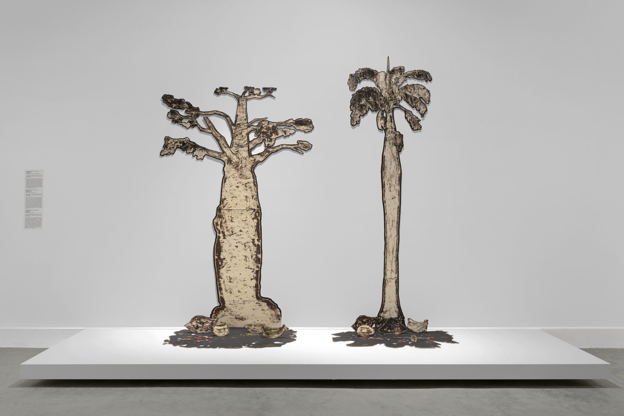 Juan Francisco Elso: Por América