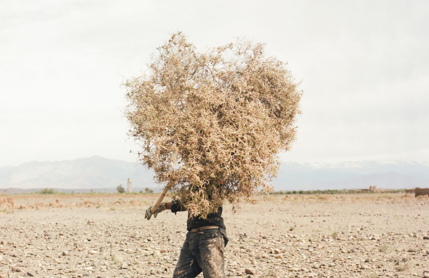 14th LagosPhoto Festival Announces Places, Artist List and Theme - Contemporary And